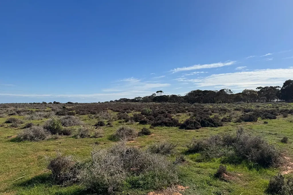 LOT 387 North Parham Road, Parham, SA 5501