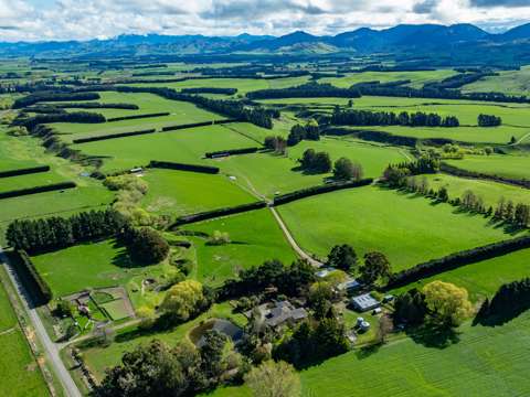 Waiau  Waiau Gem - Multi-Purpose