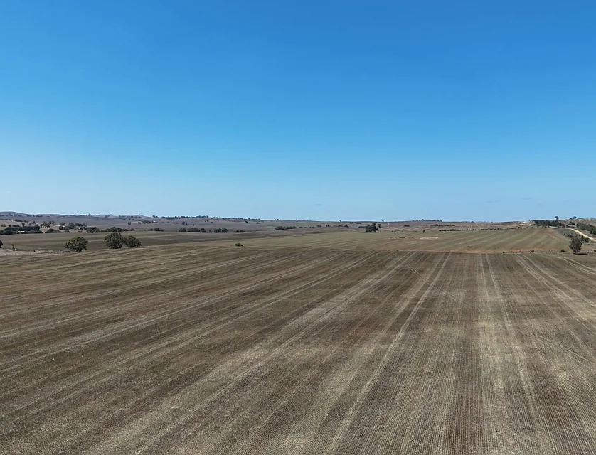 'Ryans' Archie Road, Murray Town, Barossa - Yorke - Mid North, 0 chambres, 0 salles de bain, Lifestyle Property