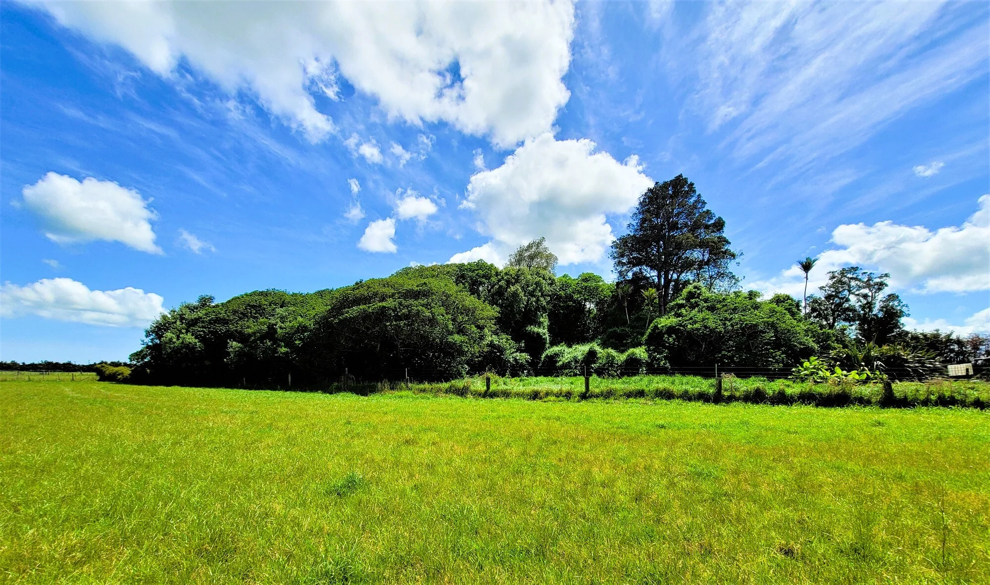 Tramline Road, Ruawai, Kaipara, Northland, 0 Bedrooms, 0 Bathrooms, Horticulture