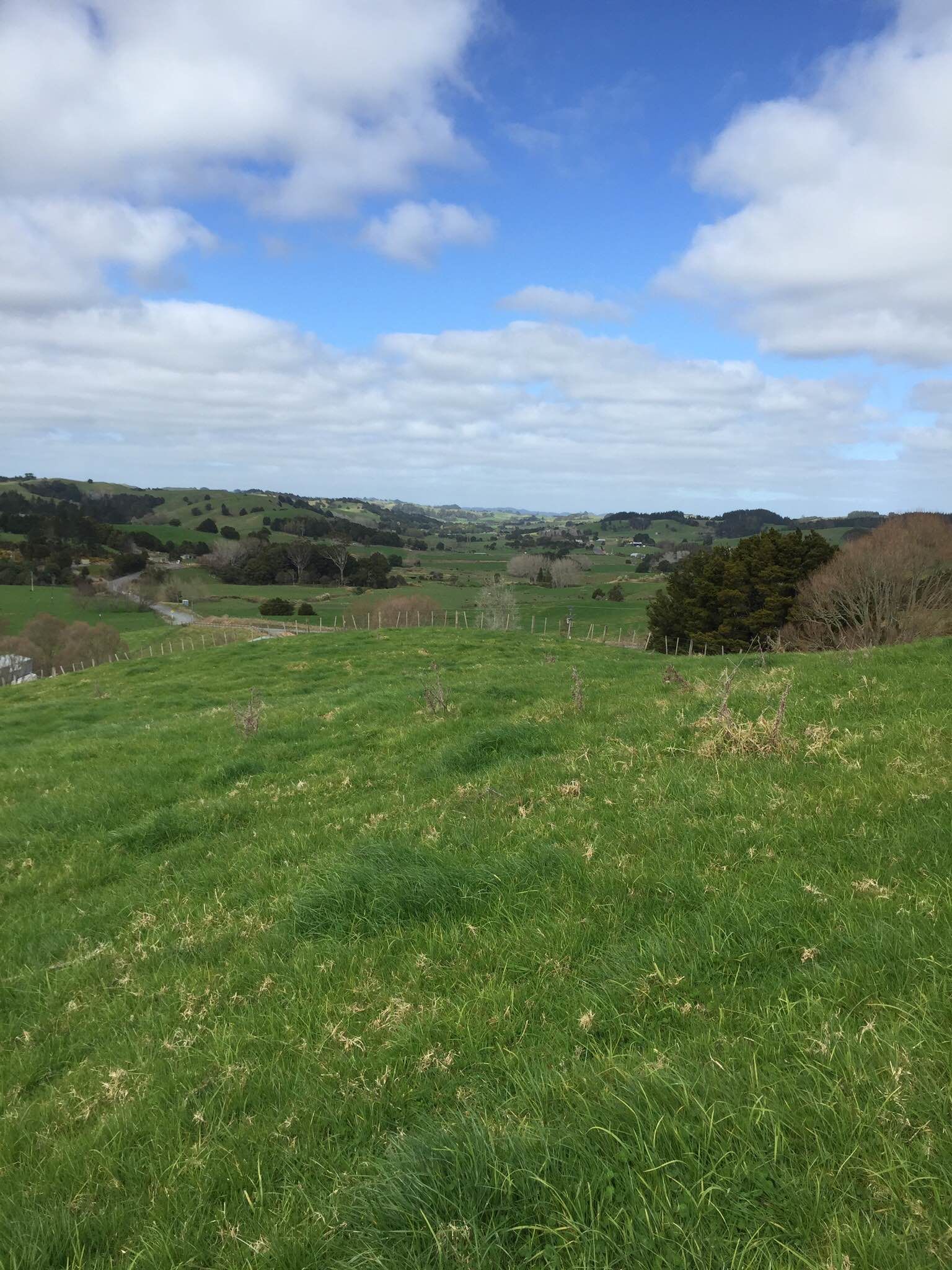 Hayward Road, Maungakaramea, Whangarei, 0 phòng ngủ, 0 phòng tắm