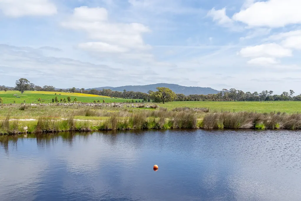 Strathbogie Pick of the Crop: 100 Acres in the Strathbogie Tablelands