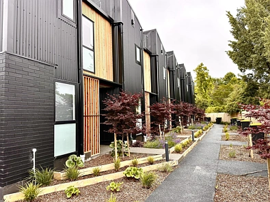 Ilam 1Zimmer Premium Investment Steps from the University!