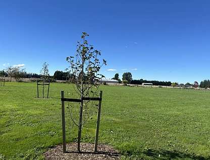 25 Sam Holmes Drive, Methven, Ashburton, 0房, 0浴, 乡村住宅建地