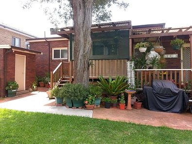 2/29 Lymington Street, Bexley, NSW 2207, 1 Bedrooms, 1 Bathrooms, Flat