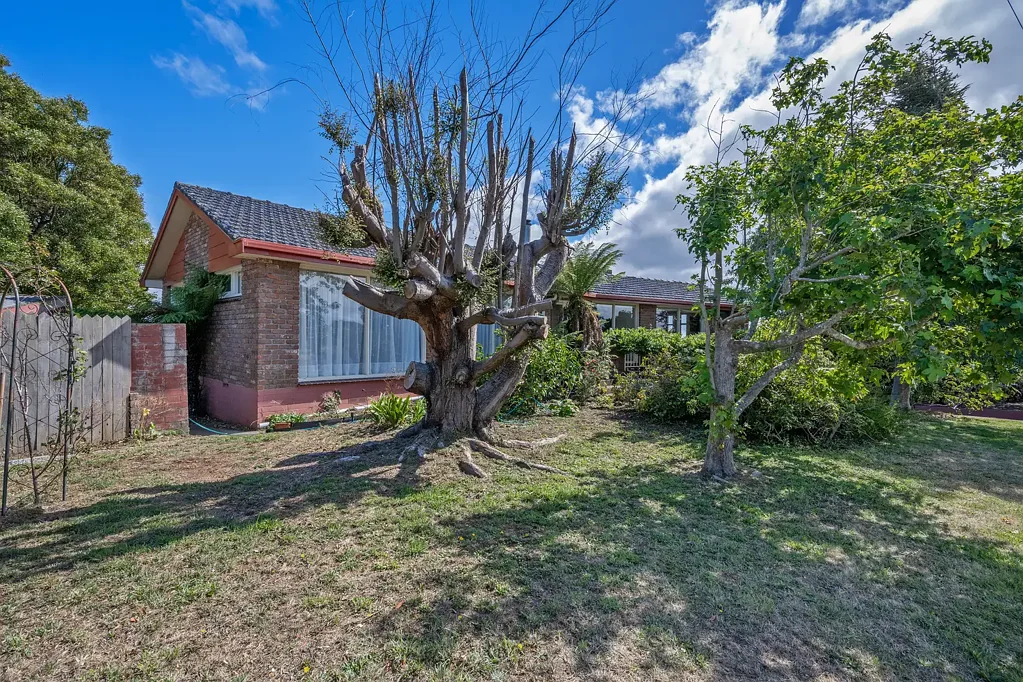 178 Ridgley Highway, Romaine, TAS 7320