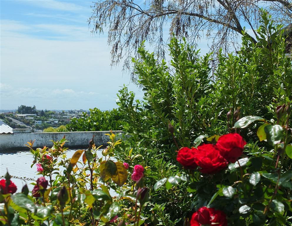 3/9 Park Lane, Highfield, Timaru, 2 Bedrooms, 1 Bathrooms