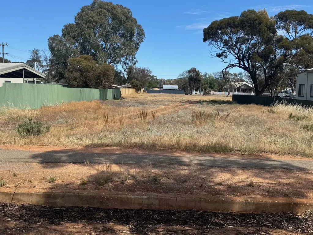 121 Roberts Street, Norseman, WA 6443