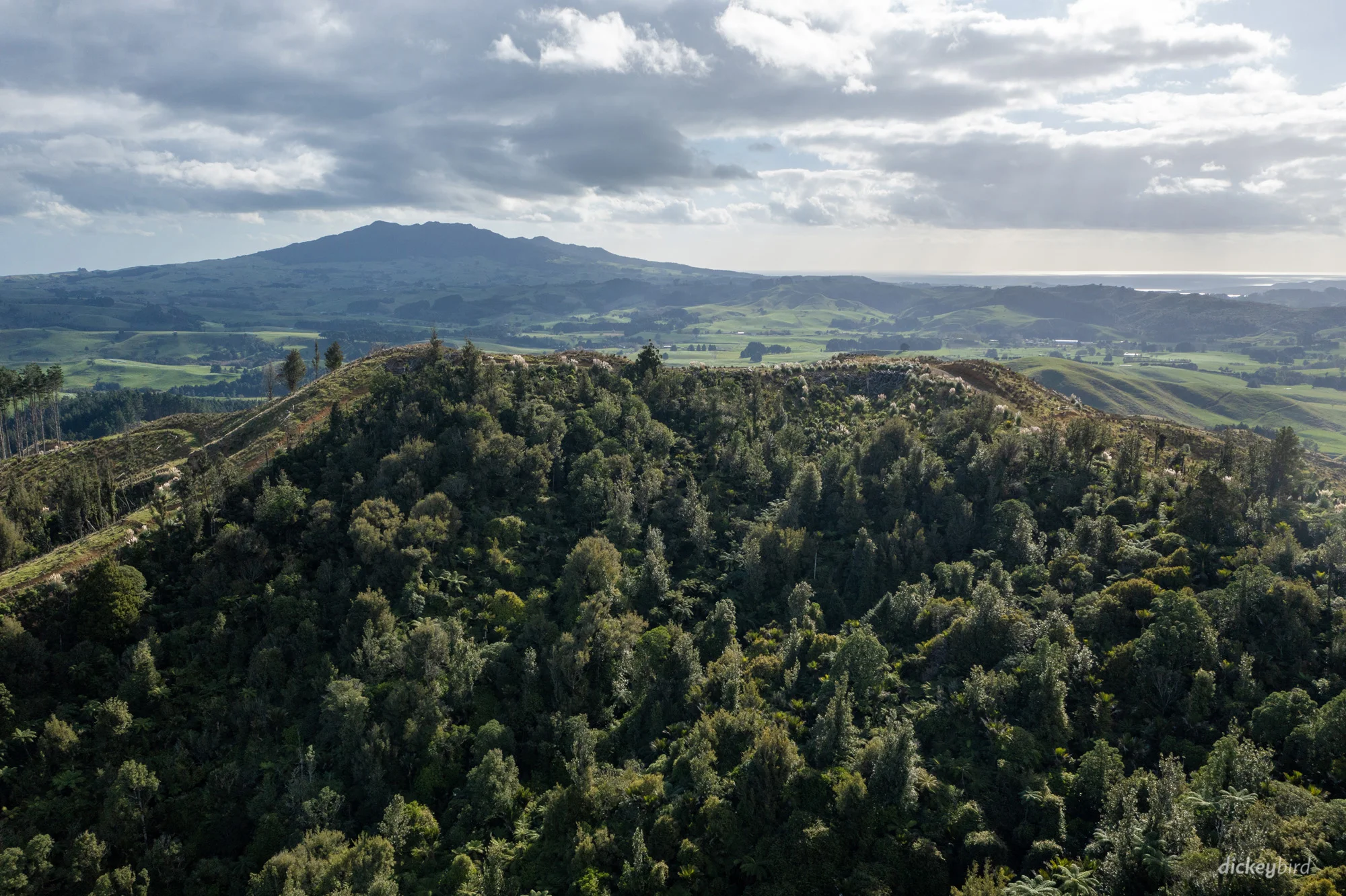 Pond Road, Raglan, 1 Schlafzimmer, 1 Badezimmer, Unspecified