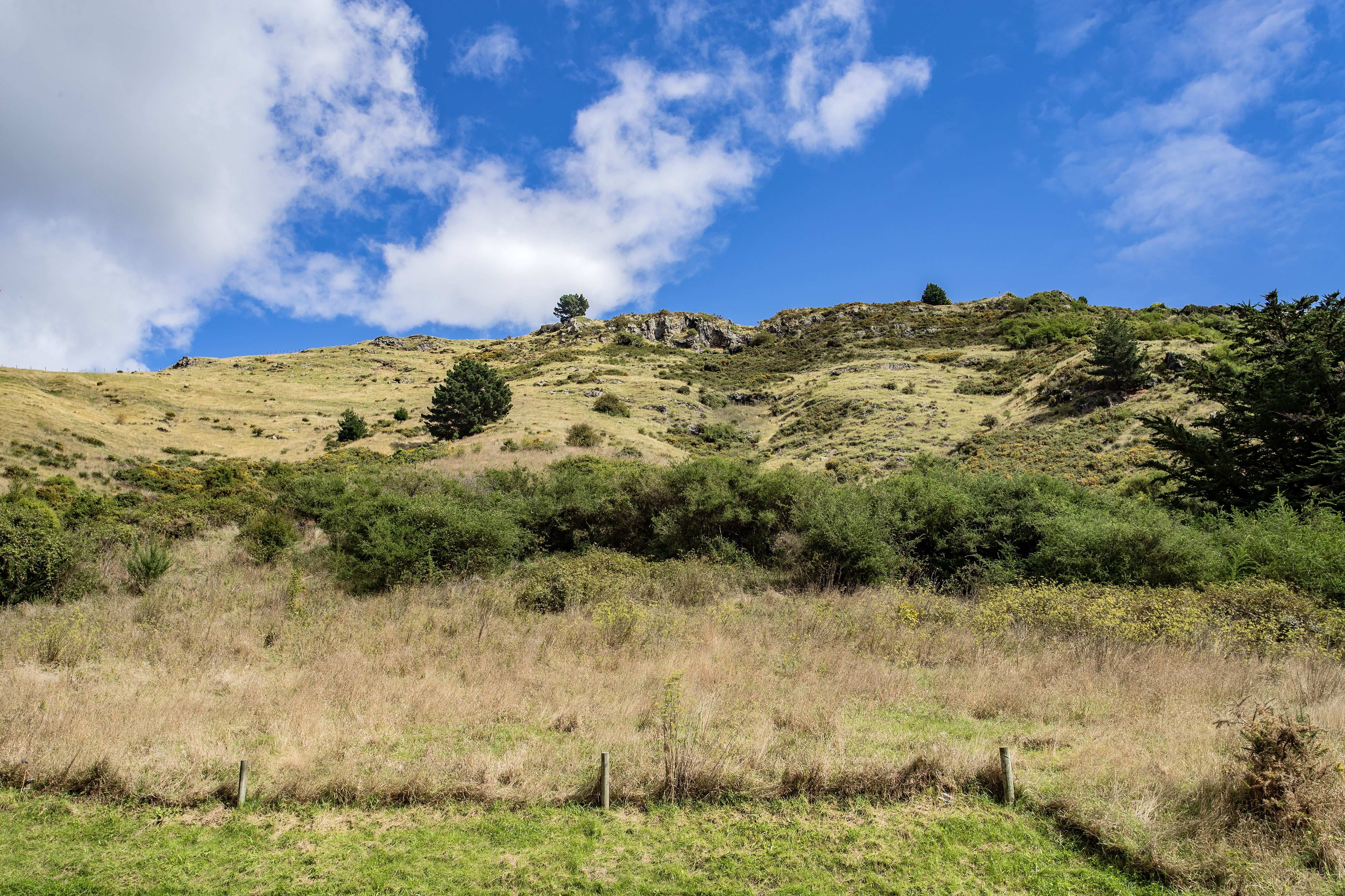 130 Bowenvale Avenue, Cashmere, Christchurch, 0 chambres, 1 salles de bain, Section