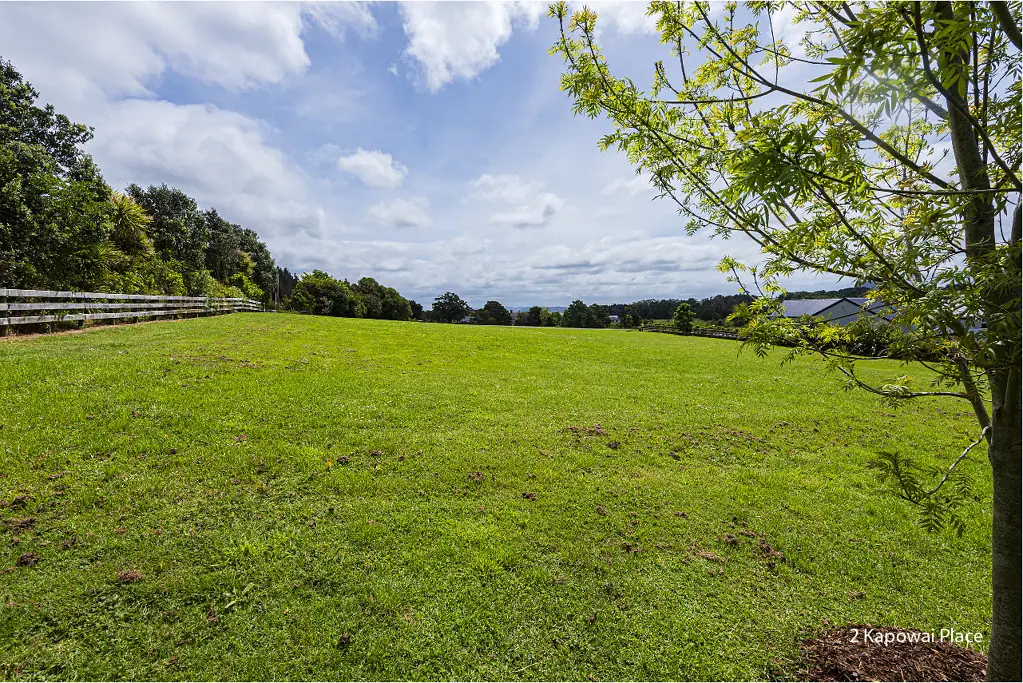 Kauri Blocks with the 'X' factor