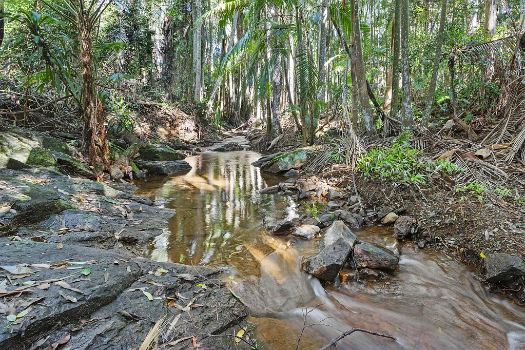 Tamborine Mountain Imagine Owing Your Piece of Tamborine Mountain History!