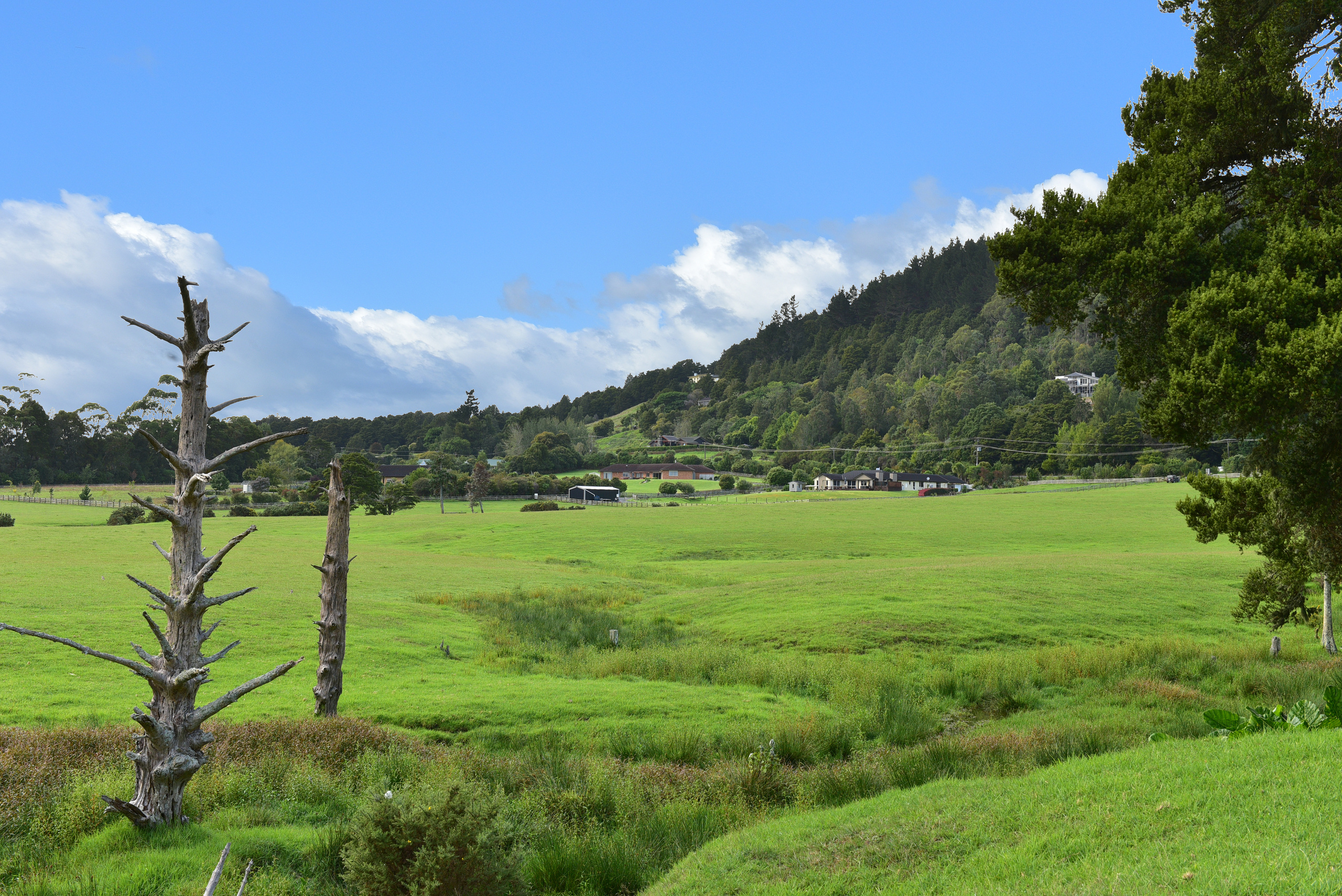 529 Crane Road, Kauri, Whangarei, 0 phòng ngủ, 0 phòng tắm