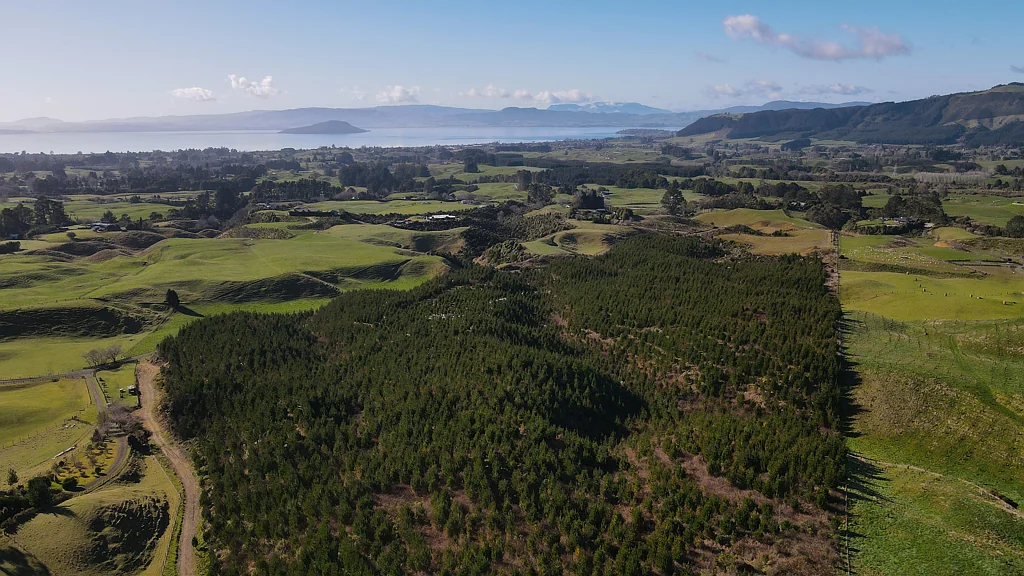 Hamurana Subdivision + Forestry Investment