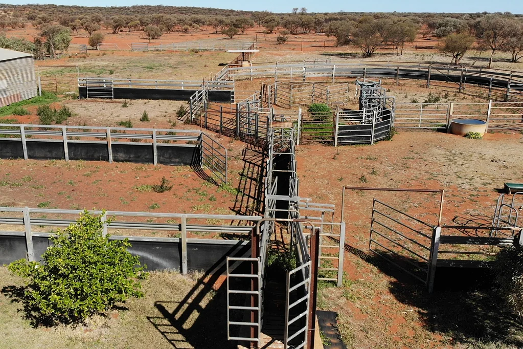 Mount Magnet Inside the vermin proof fence with HIR Carbon Project