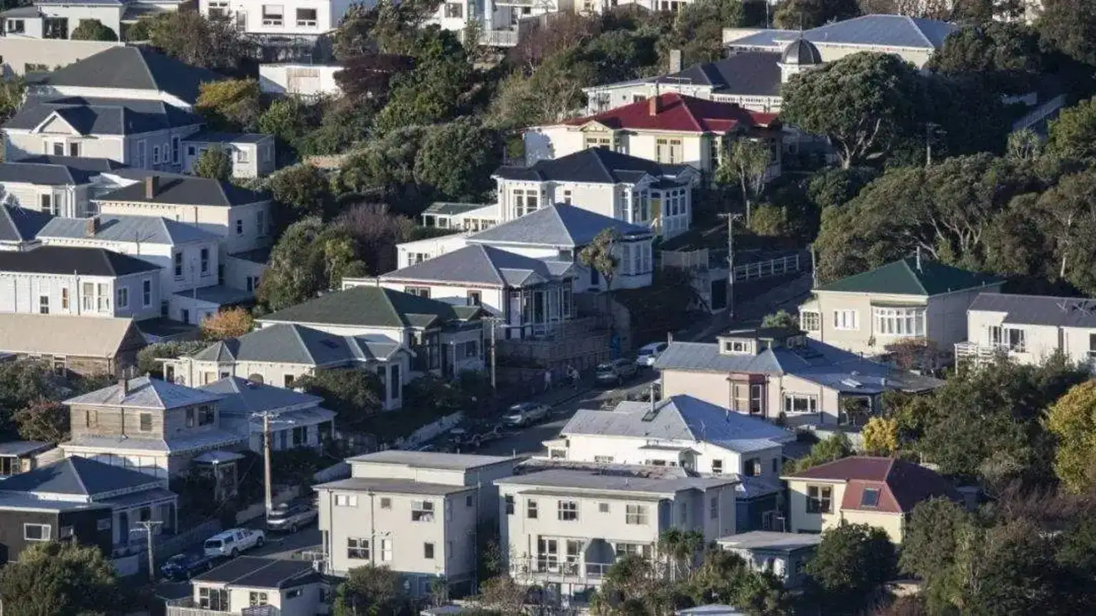统计局：新西兰住房供应已赶超人口！房价、租金会下跌吗？
