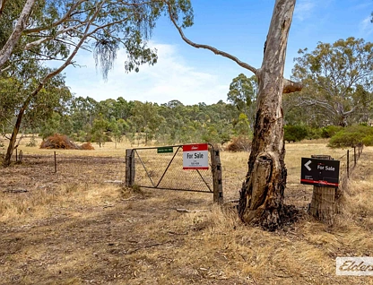  Corner Better Route Road And Port Curtis Road Road, Ararat, Horsham, 0 rūma, 0 rūma horoi, Lifestyle Property