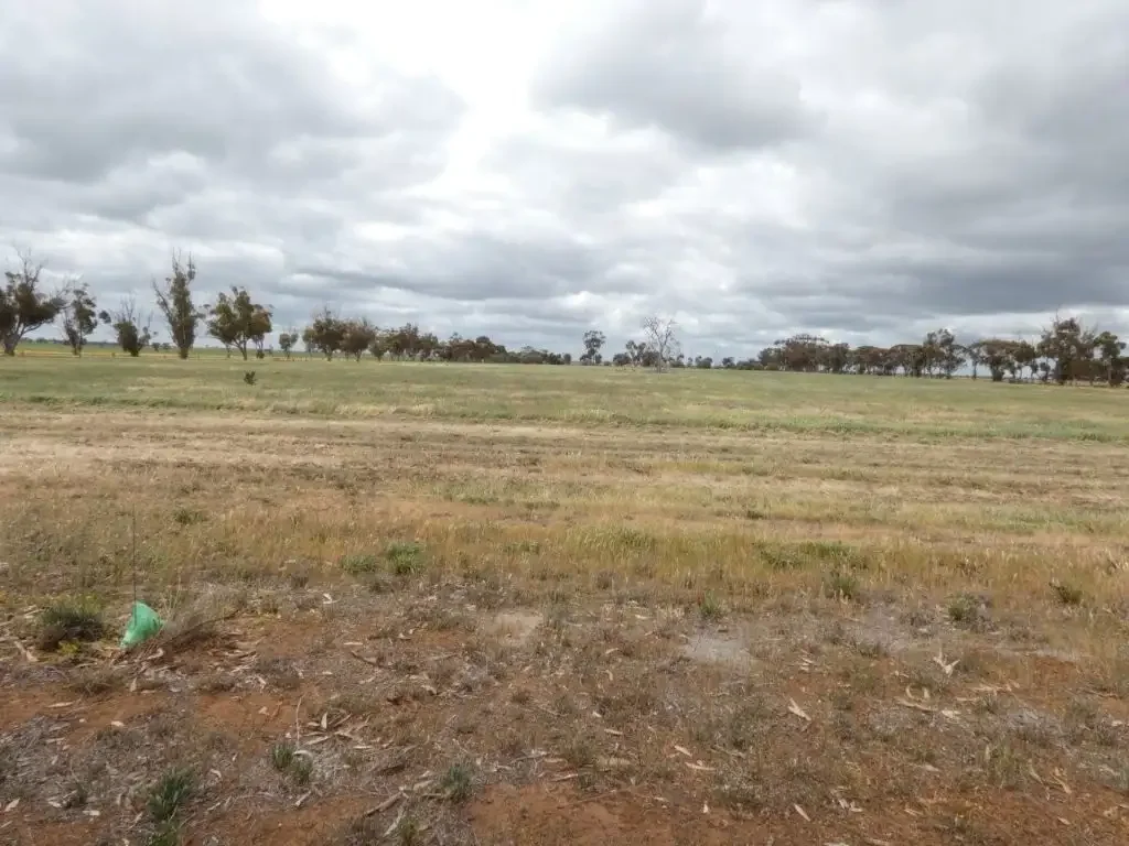 Watchem HUGE TOWNSHIP ZONED BLOCK