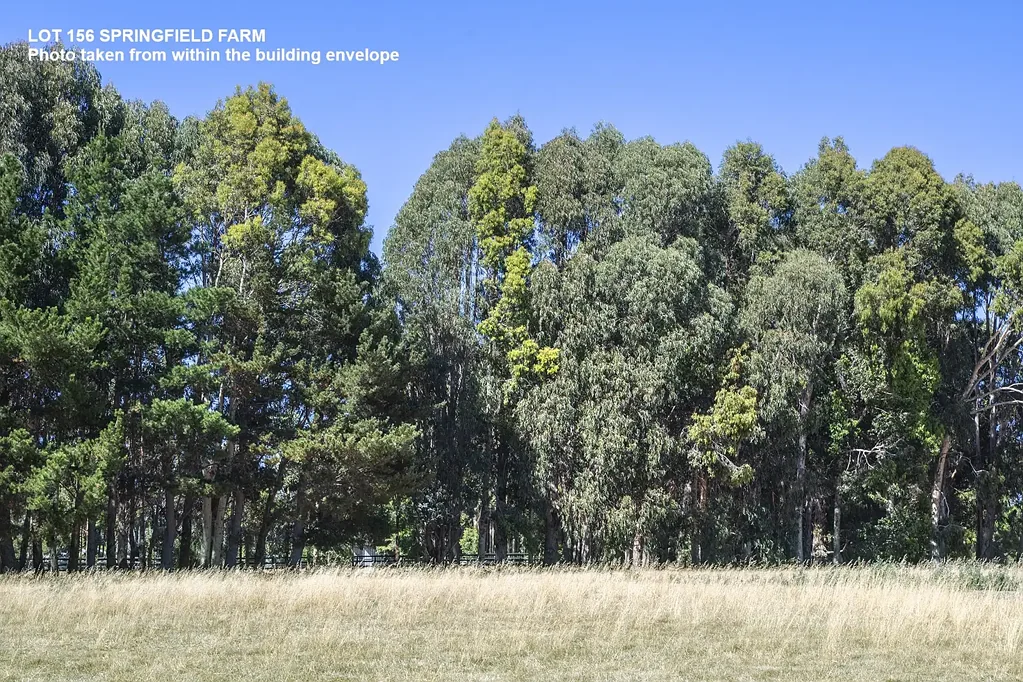 Yallingup LOT 156 UNDER OFFER | CONTACT US FOR REMAINING LOTS AVAILABLE
