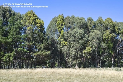 Yallingup LOT 156 UNDER OFFER | CONTACT US FOR REMAINING LOTS AVAILABLE