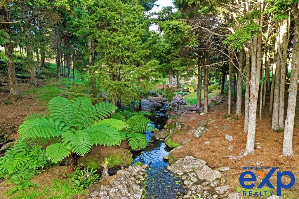 Kerikeri Serious Price Reduction - Up to $155,000