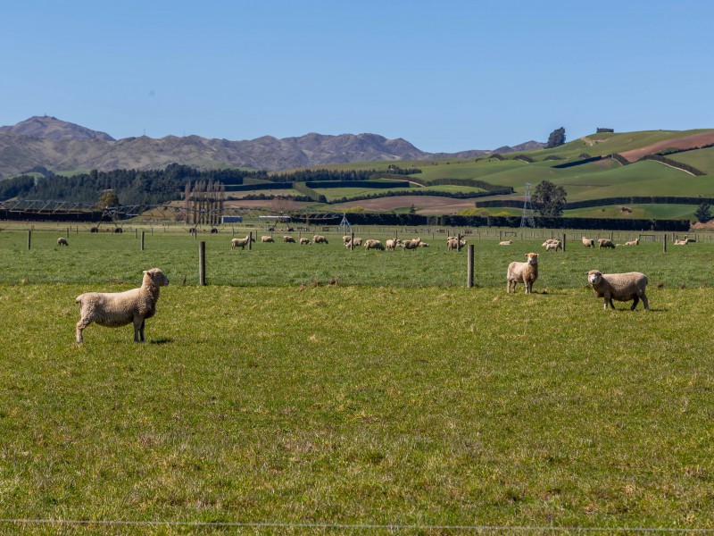 209 Bentleys Road, Hawarden, Hurunui, 0房, 0浴