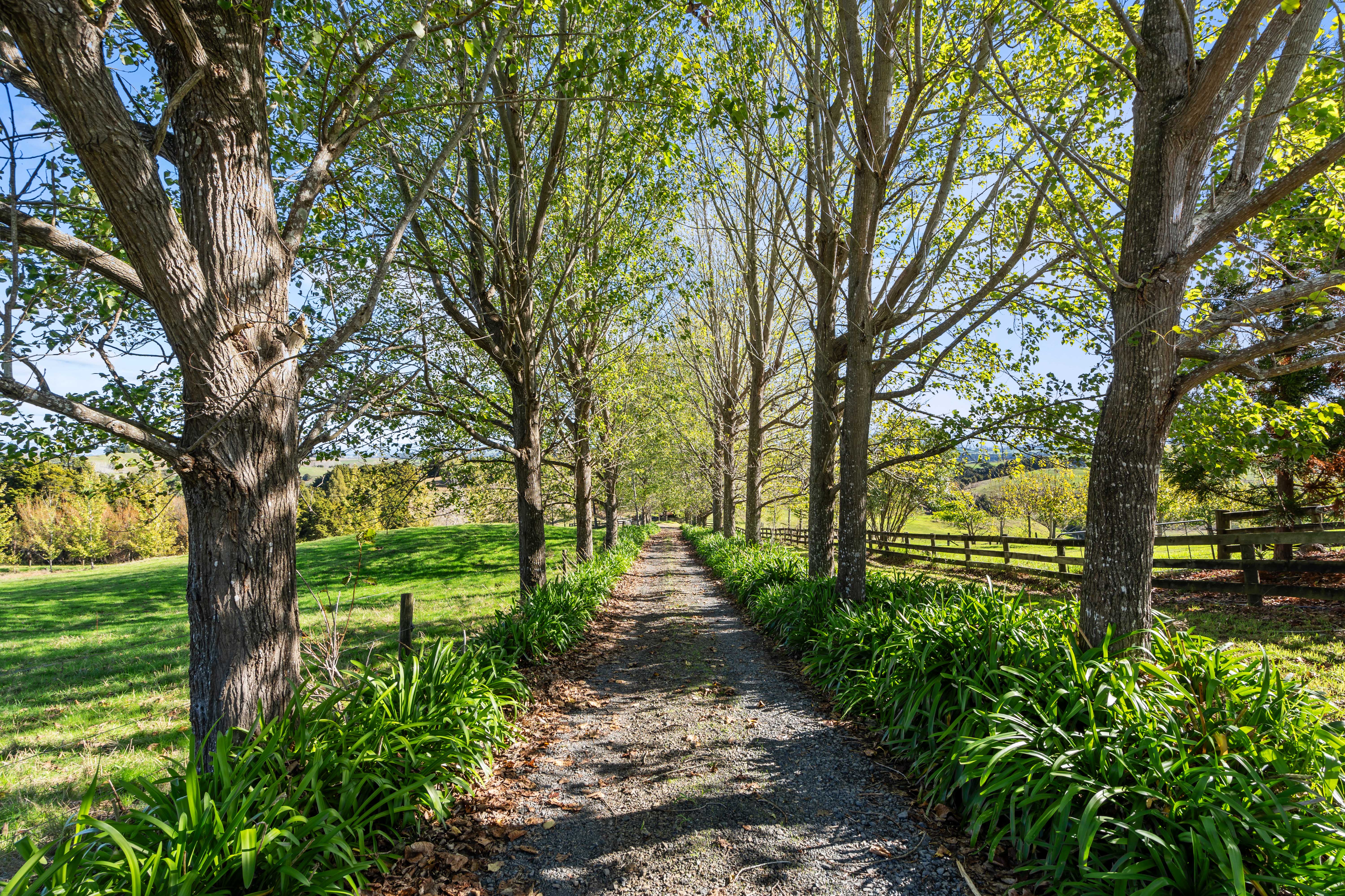 253 Attwood Road, Ruatangata, Whangarei, 4 Schlafzimmer, 2 Badezimmer, Lifestyle Property