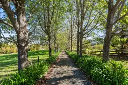 253 Attwood Road, Ruatangata