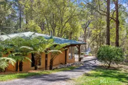 19 Reefton Drive, Mcmahons Creek