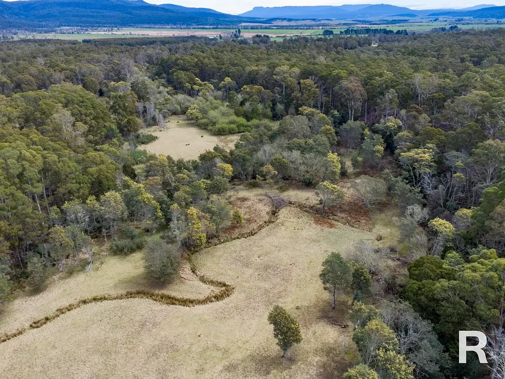 Gray Pasture, Bush, Water & Wood