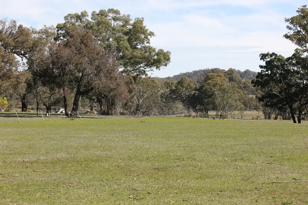Elphinstone 40 Acres with Approved Planning Permit