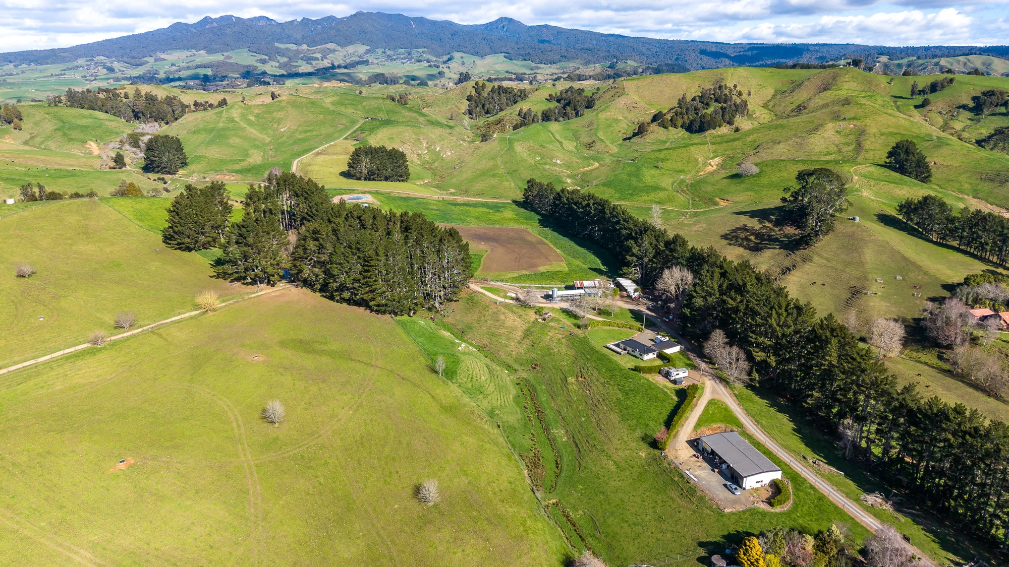 1026 Limeworks Loop Road, Te Pahu, Waipa, Waikato, 3房, 1浴, Dairy