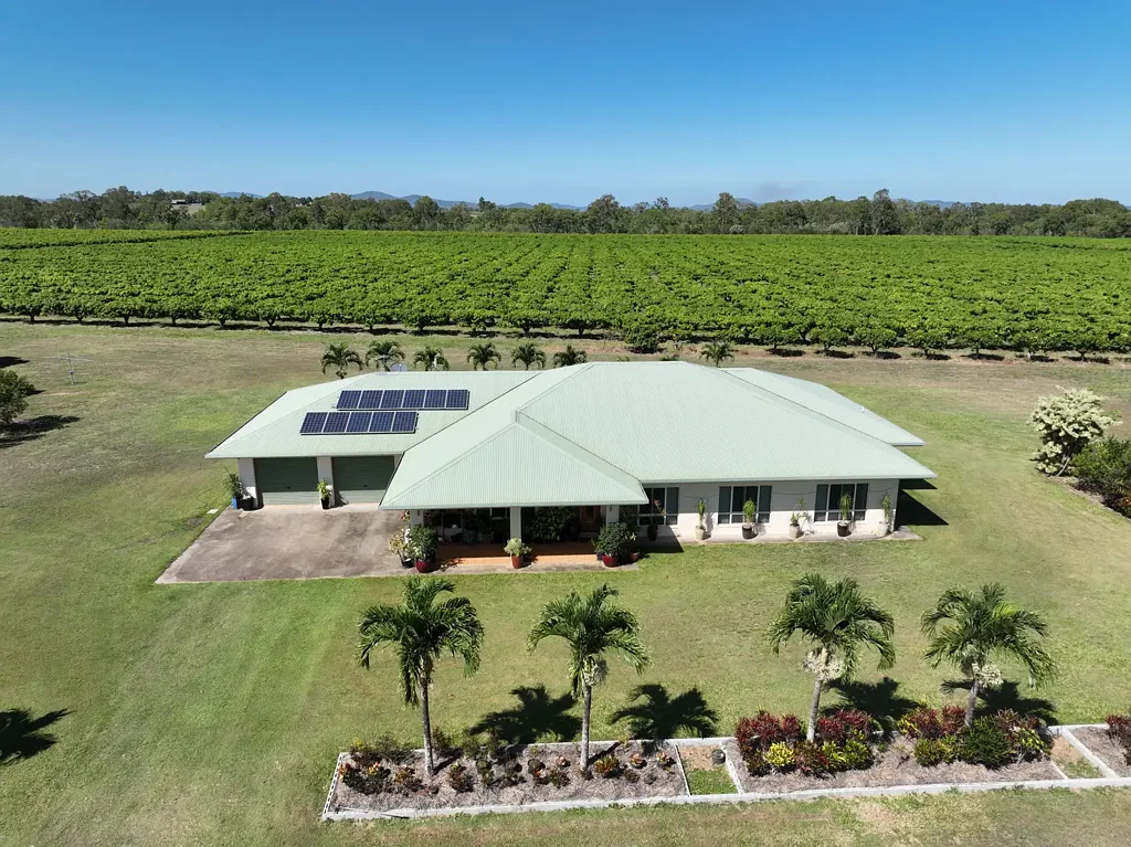 Chewko  HIGH-PRODUCTION MANGO & LIME FARM + FULL PACKING FACILITIES + TWO HOMES