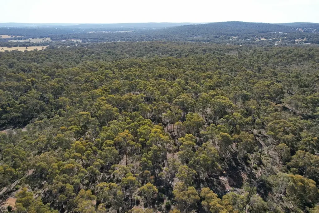 Bakers Hill Pristine Bushland 715 acres