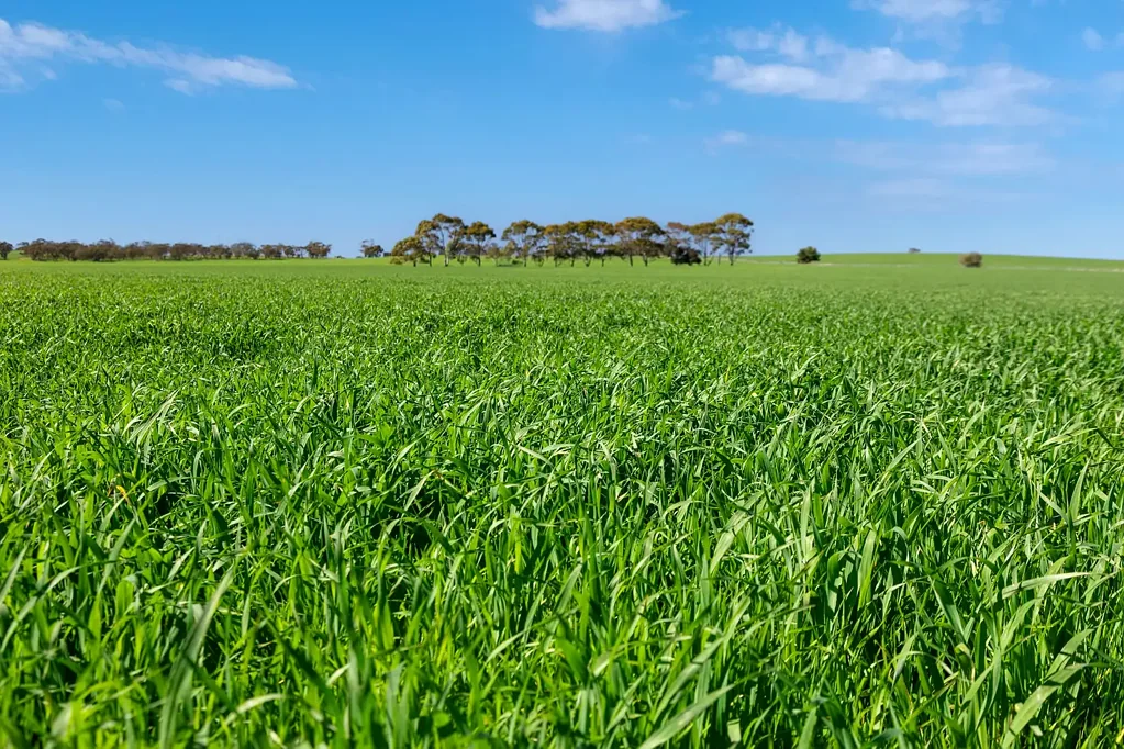 Riverton High-Quality Arable Land in Proven Farming Region