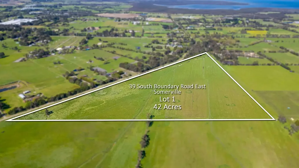 Somerville 42 Acres of Possibility - Your Blank Canvas Awaits