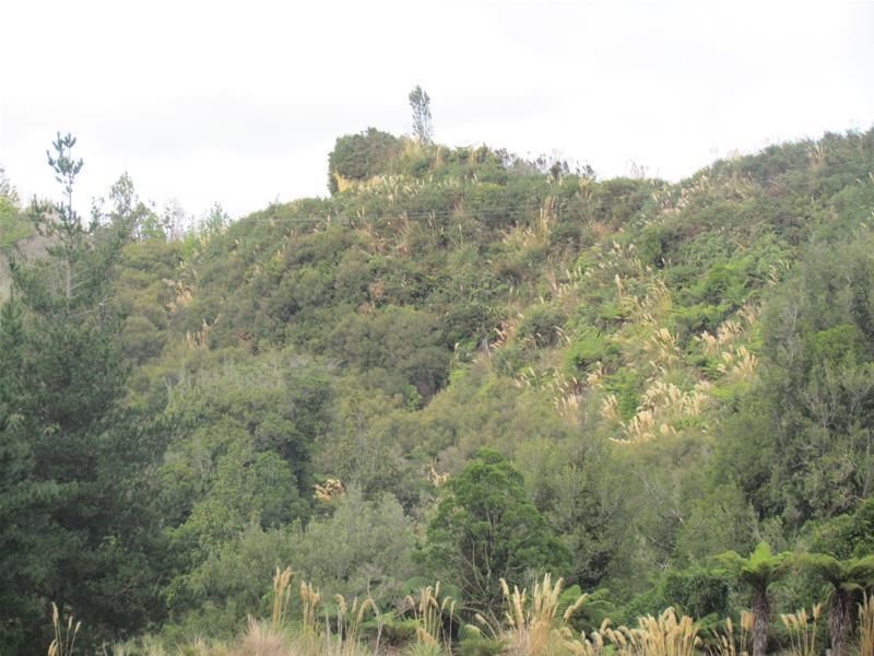 Okahutiria Road, Waverley, South Taranaki, 0 Kuwarto, 1 Banyo