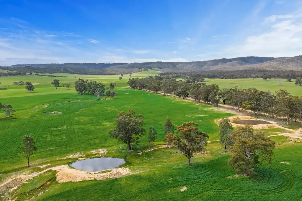 Barkly  Five Rural Lifestyle Allotments Plus Separate Commercial Farm