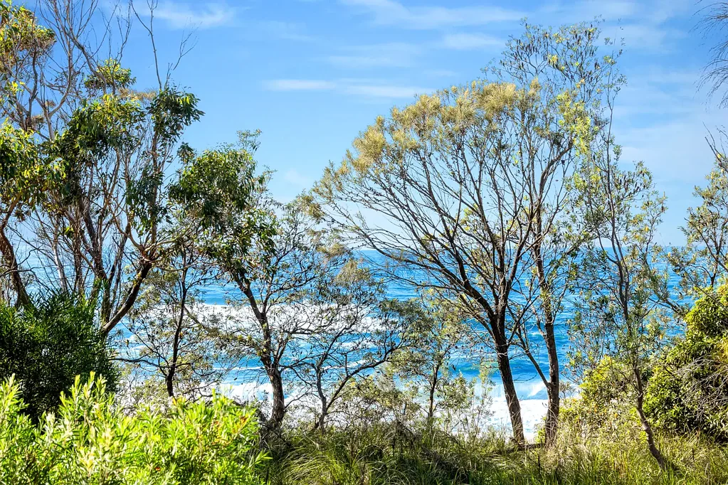 Congo 5 Bedroom Room to Grow. Space to Breathe. Steps to the Beach.