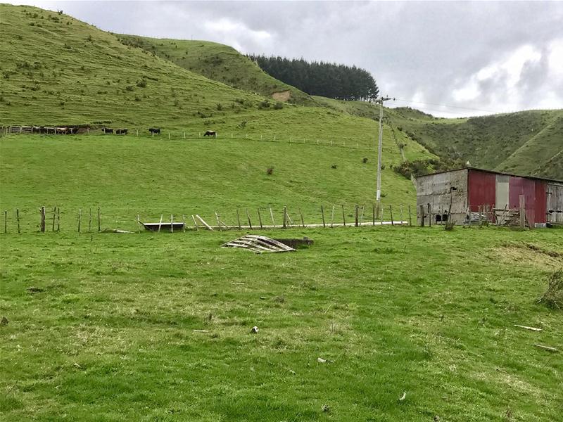 Te Mahoe Road, Mokau, Waitomo, 0 Schlafzimmer, 1 Badezimmer