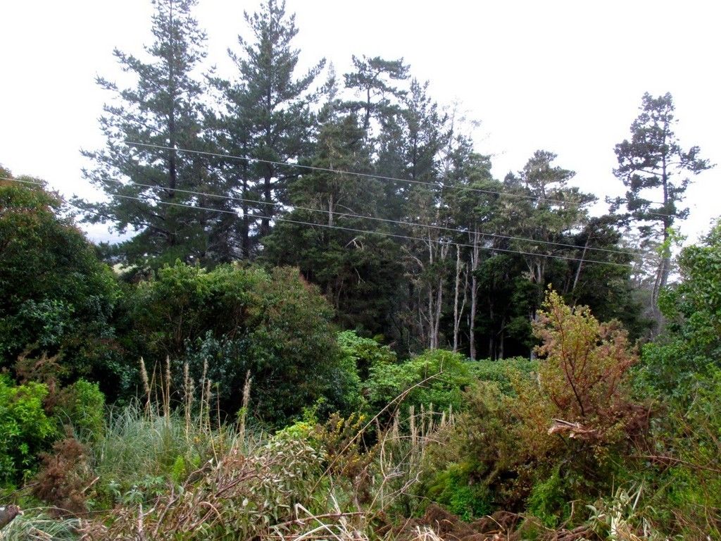 Rakautapu Road, Kohukohu, Far North, 0 침실, 1 욕실