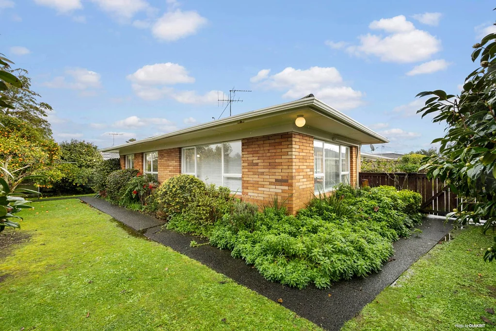 3/101 Seddon Street, Pukekohe, Franklin, Auckland