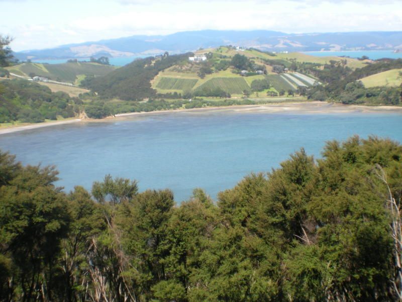 Hauraki Gulf Islands