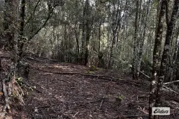 Gunns Plains Road, Gunns Plains