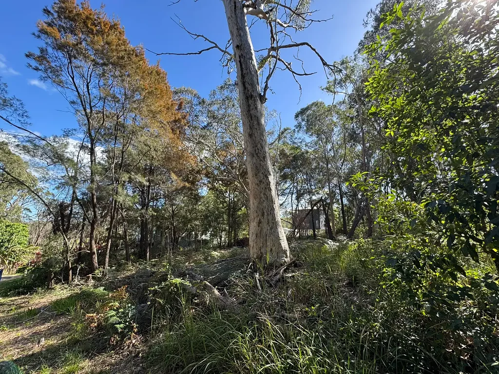 Russell Island 宽敞597平米地块 宁静郊区位置 自然环绕 划船钓鱼天堂 距离设施近 潜力增长区域 Paradise awaits