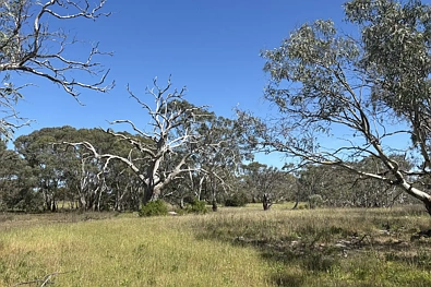 ਬਾਹਰੀ - LOT 9 Flinders Highway, Wangary, SA 5607