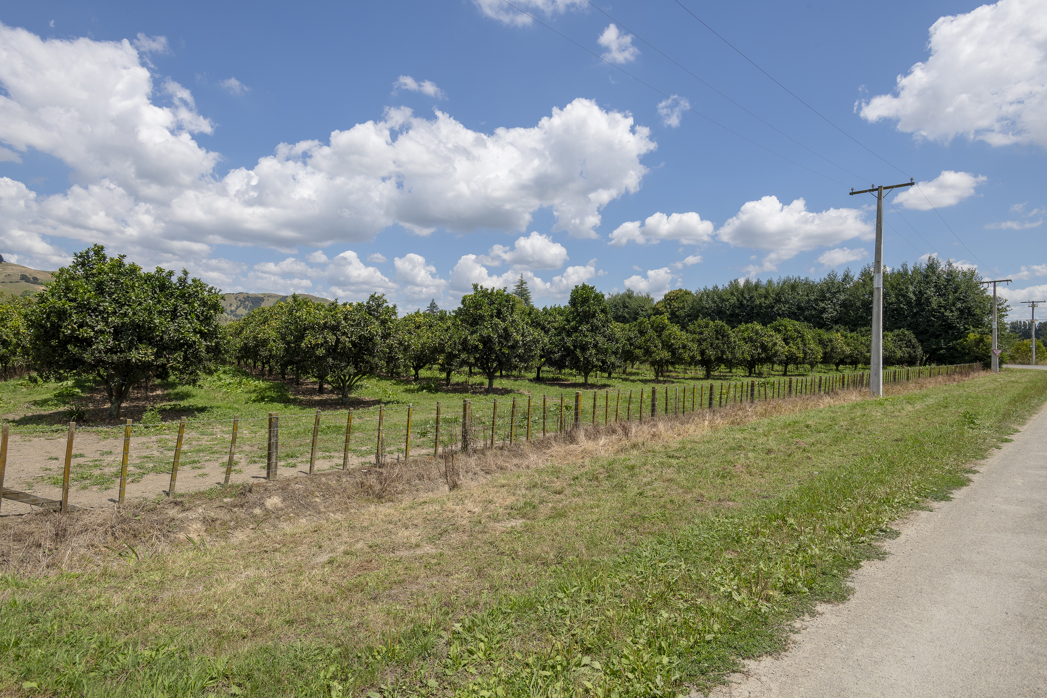 Paulson Road, Te Karaka, Gisborne, 0 rūma, 0 rūma horoi, Lifestyle Section