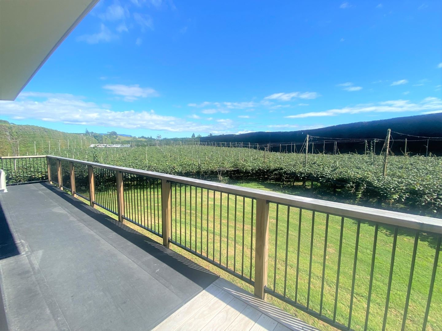 159g Te Puna Road, Te Puna, Bay Of Plenty, 0 chambres, 1 salles de bain