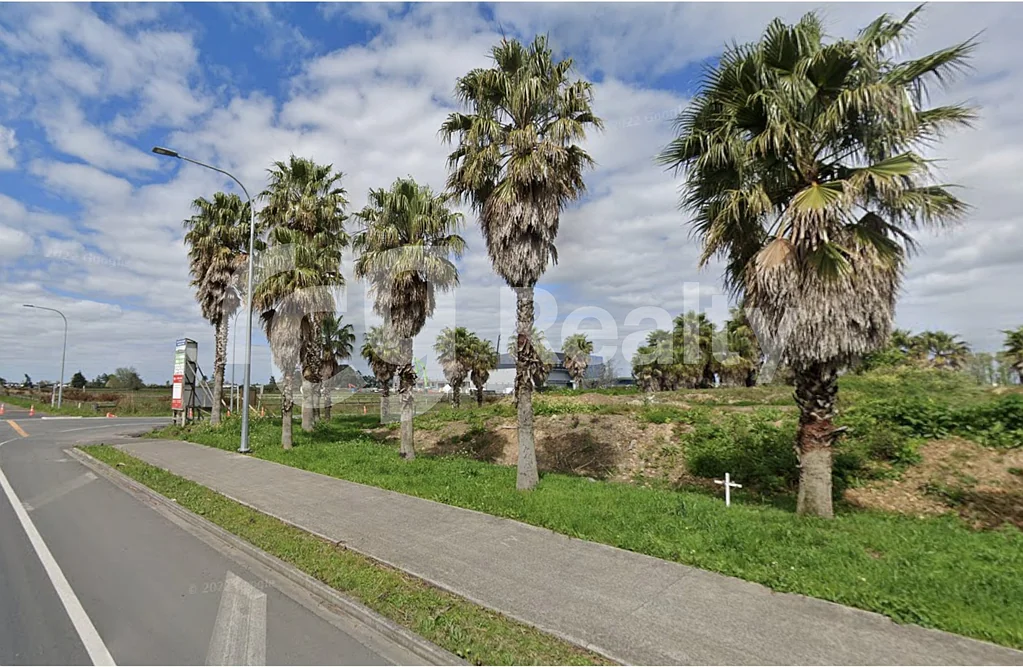 Takanini Corner Profile Road Front Yard - 2,400sqm