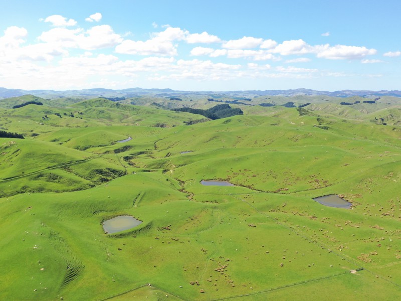 275 Akaroa Road, Pongaroa, Tararua, 0 chambres, 1 salles de bain